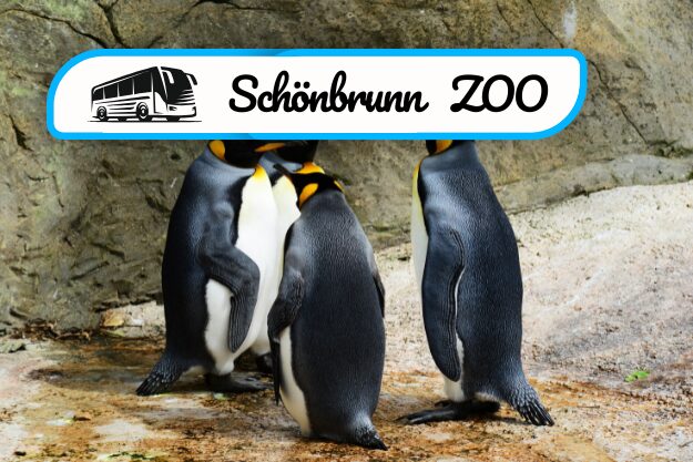 Schönbrunn ZOO 3.5.2025
