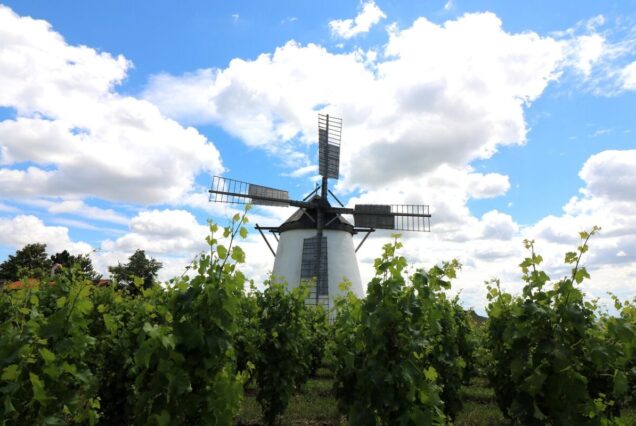 windmill, heaven, mill, clouds, landscape, wing, wind, nature, flour mill, blue, summer, mood, mill museum, blue sky, don quijote, retz, don quixote, wine, grapevine, rotate