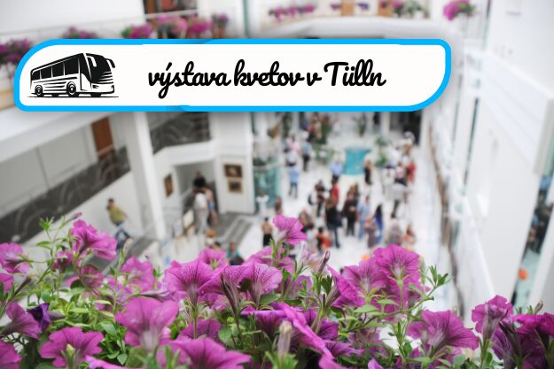 výstava kvetov v Tülln 30.8.2025